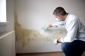 Biohazard Mold Removal in Flanders, NY